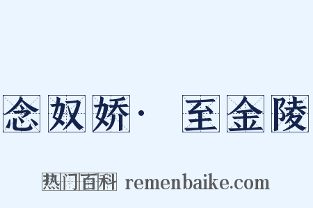 念奴娇·至金陵是什么意思的图片